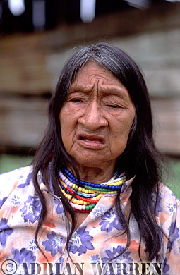 AW_Waorani1061, Waorani Indians : Ome at Tonaempaede, Ecuador, 2002