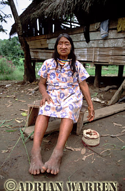 AW_Waorani1062, Waorani Indians : Ome at Tonaempaede, Ecuador, 2002