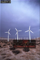 Natural Resources; WIND TURBINES, Palm Springs, USA 