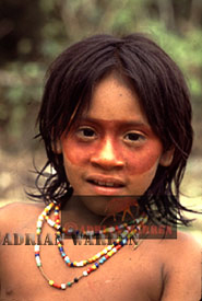 Waorani Indian, Ecuador