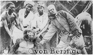 The first Mountain Gorilla (Gorilla g. beringei) discovered by Captain Robert von Beringe in 1902, with his Askaris and his manservant, Virunga Volcanoes, Rwanda