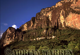 The Ledge of RORAIMA, 2000