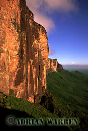 Cliff of RORAIMA from the ledge