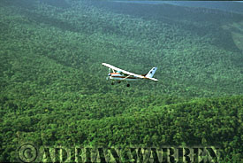 Flying over air to air shot of Cessna over forest  Near Auyantepui