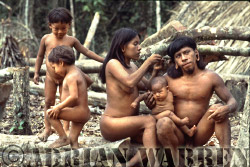 Waorani Indians ; family grooming, 1983
