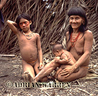Waorani Indians 1983