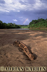 Waorani Indians : Palm Beach, rio Curaray, Ecuador, 2002