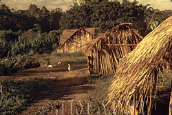 Tewaeno, 1973 Housing styles have varied in Waorani culture since pre-contact times