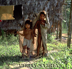 Waorani Indians, children