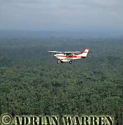 MAF Cessna 206 over the forest