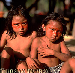 Waorani Indians : children, using Achiote for decoration